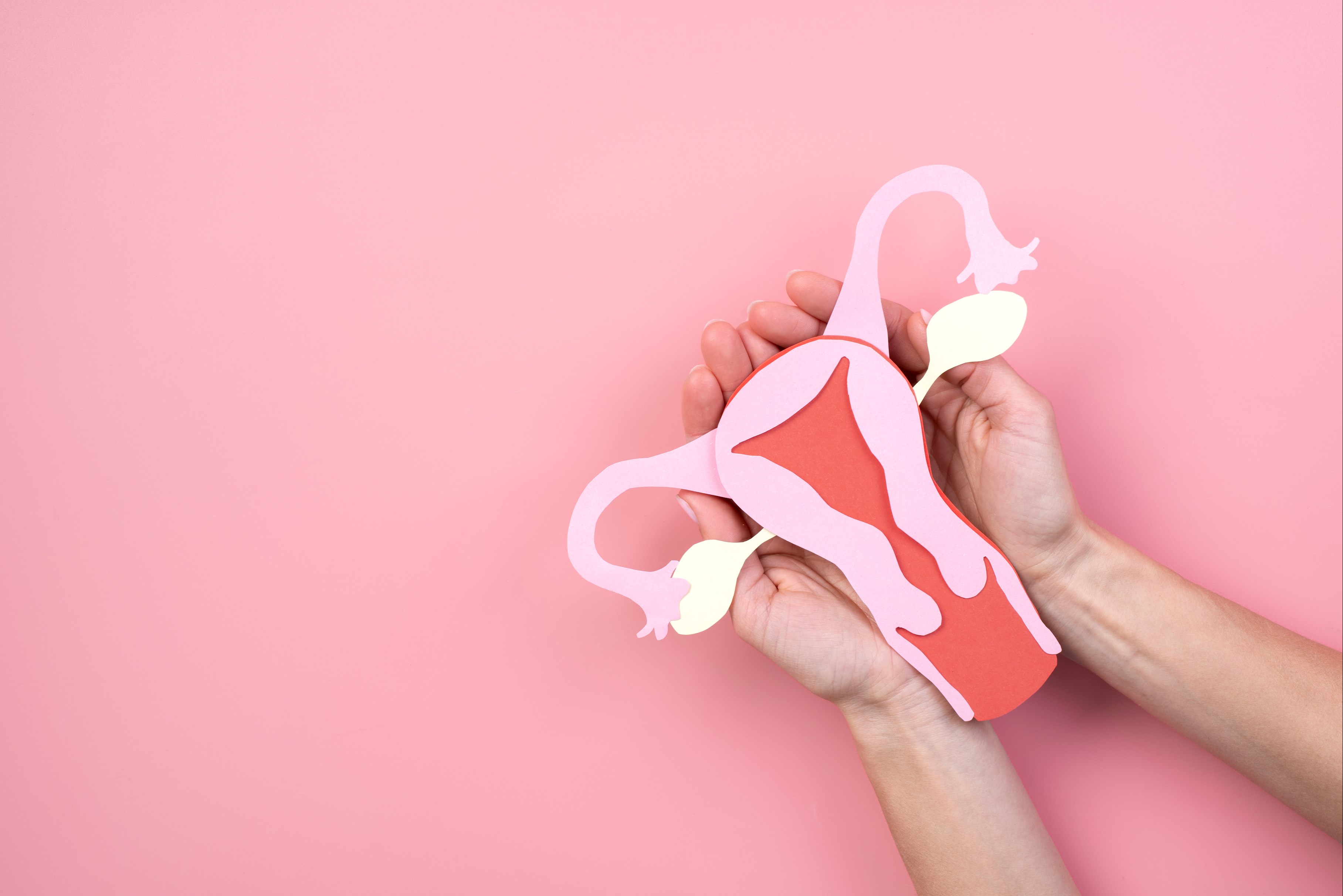 Vulva Kanseri Nedir? Vulva Kanseri Belirtileri ve Tedavi Yöntemleri Nelerdir?