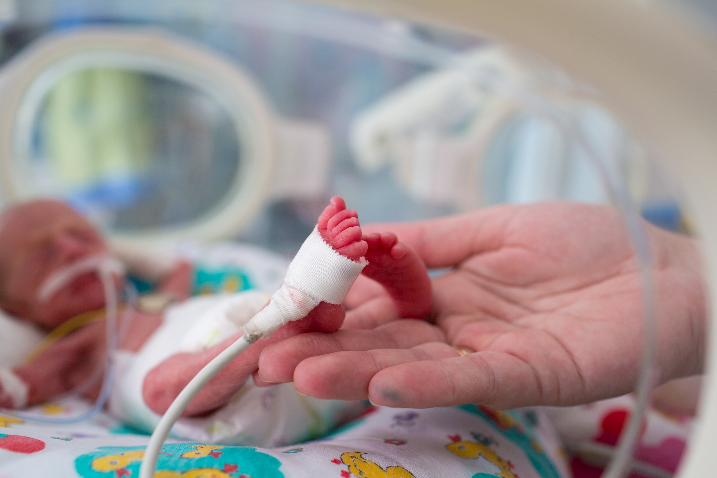 Prematüre bebekleri fanusta tutmayın | Medipol Sağlık Grubu